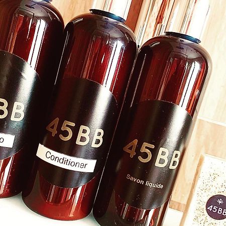 45Bb Apartment 卡尔卡松 外观 照片
