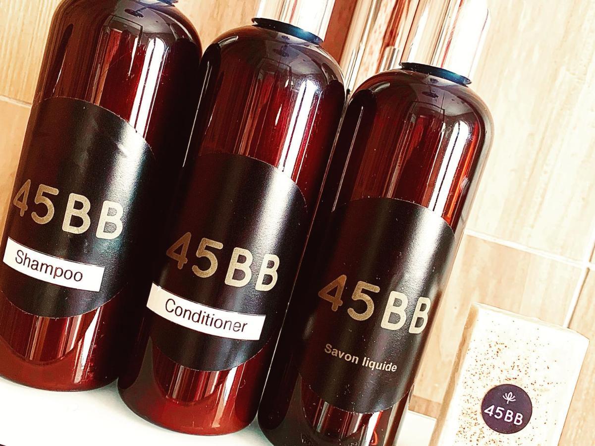 45Bb Apartment 卡尔卡松 外观 照片